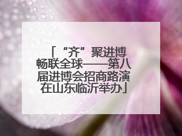 “齐”聚进博 畅联全球——第八届进博会招商路演在山东临沂举办