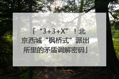 “3+3+X”！北京西城“枫桥式”派出所里的矛盾调解密码