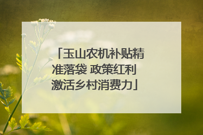玉山农机补贴精准落袋 政策红利激活乡村消费力