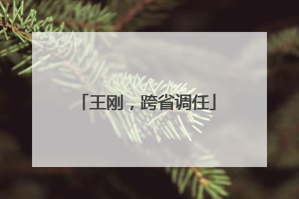 王刚，跨省调任