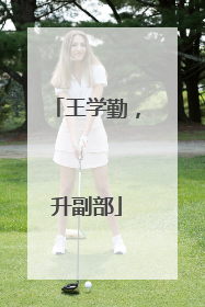 王学勤，升副部
