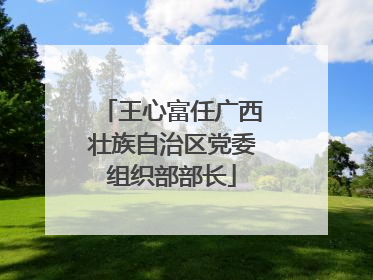 王心富任广西壮族自治区党委组织部部长