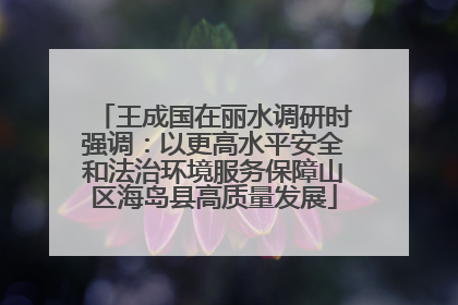 王成国在丽水调研时强调：以更高水平安全和法治环境服务保障山区海岛县高质量发展