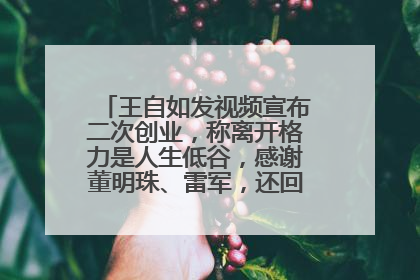 王自如发视频宣布二次创业，称离开格力是人生低谷，感谢董明珠、雷军，还回应了“工资条”：清楚自己要什么……