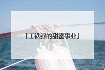 王铁强的甜蜜事业
