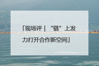 现场评｜“链”上发力打开合作新空间