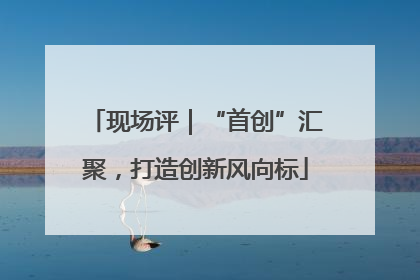 现场评｜“首创”汇聚，打造创新风向标