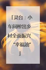 灵台：小车间榨出乡村全面振兴“幸福油”