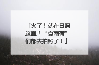 火了！就在日照这里！“夏雨荷”们都去拍照了！