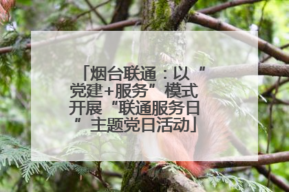 烟台联通：以“党建+服务”模式开展“联通服务日”主题党日活动