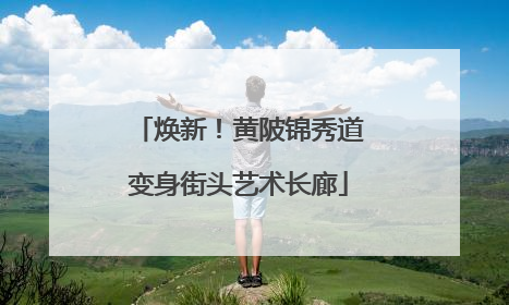 焕新！黄陂锦秀道变身街头艺术长廊