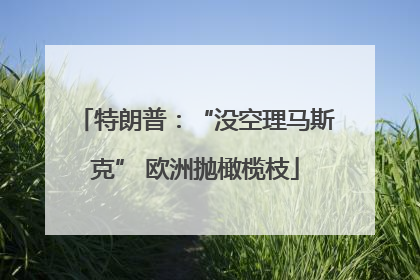 特朗普：“没空理马斯克” 欧洲抛橄榄枝