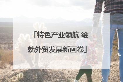特色产业领航 绘就外贸发展新画卷