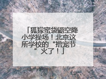 狐獴蜜袋鼯空降小学操场！北京这所学校的“撸宠节”火了！