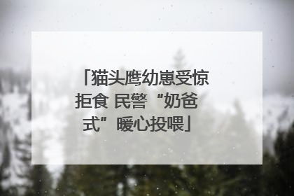 猫头鹰幼崽受惊拒食 民警“奶爸式”暖心投喂