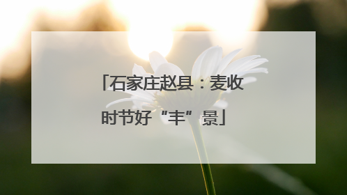 石家庄赵县：麦收时节好“丰”景