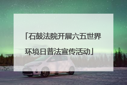 石鼓法院开展六五世界环境日普法宣传活动
