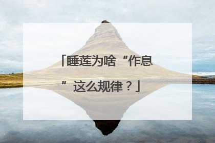 睡莲为啥“作息”这么规律？