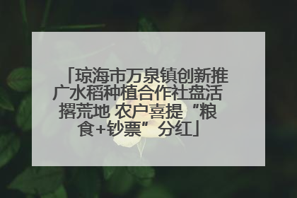 琼海市万泉镇创新推广水稻种植合作社盘活撂荒地 农户喜提“粮食+钞票”分红