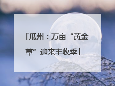 瓜州：万亩“黄金草”迎来丰收季