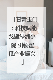 甘肃玉门：科技赋能戈壁绿洲小院 引领蜜瓜产业振兴