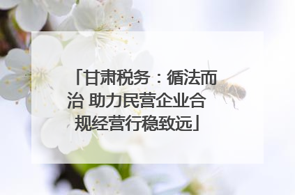 甘肃税务：循法而治 助力民营企业合规经营行稳致远