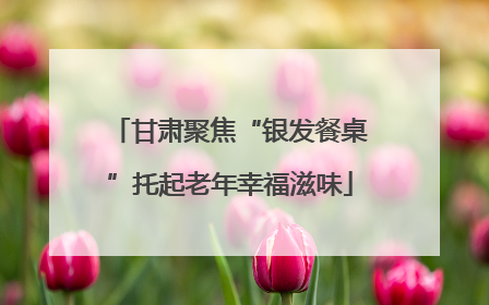 甘肃聚焦“银发餐桌”托起老年幸福滋味
