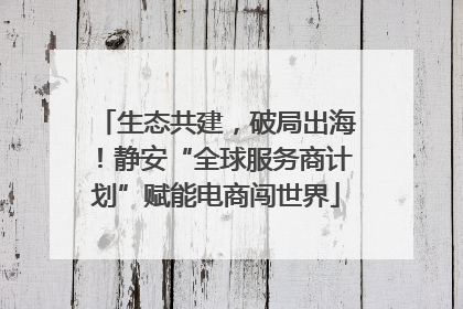 生态共建，破局出海！静安“全球服务商计划”赋能电商闯世界