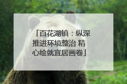 百花湖镇：纵深推进环境整治 精心绘就宜居画卷