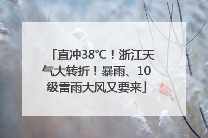 直冲38℃！浙江天气大转折！暴雨、10级雷雨大风又要来