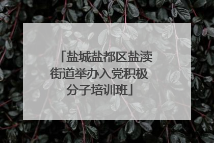 盐城盐都区盐渎街道举办入党积极分子培训班