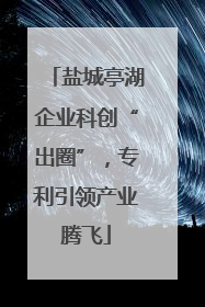盐城亭湖企业科创“出圈”，专利引领产业腾飞