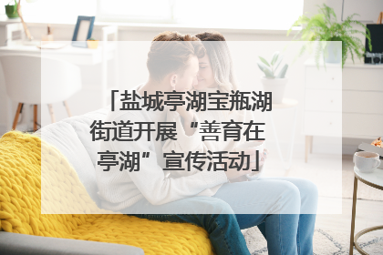 盐城亭湖宝瓶湖街道开展“善育在亭湖”宣传活动