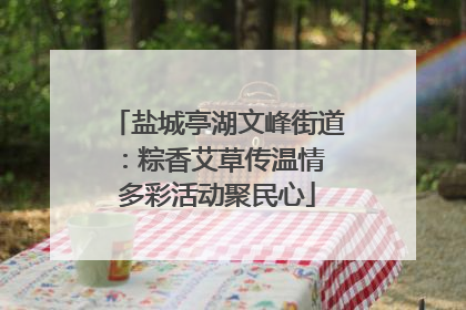 盐城亭湖文峰街道：粽香艾草传温情 多彩活动聚民心
