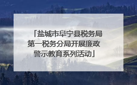盐城市阜宁县税务局第一税务分局开展廉政警示教育系列活动