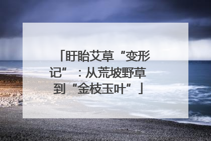 盱眙艾草“变形记”：从荒坡野草到“金枝玉叶”