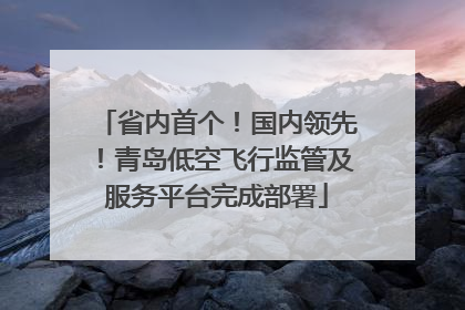 省内首个！国内领先！青岛低空飞行监管及服务平台完成部署