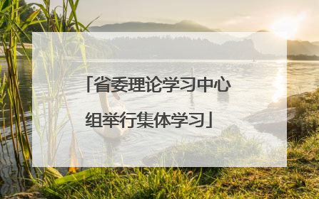 省委理论学习中心组举行集体学习