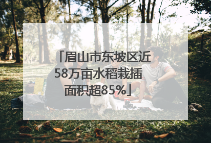 眉山市东坡区近58万亩水稻栽插面积超85%