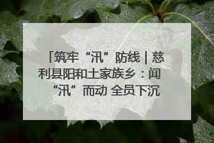 筑牢“汛”防线｜慈利县阳和土家族乡：闻“汛”而动 全员下沉筑牢防汛“安全堤”