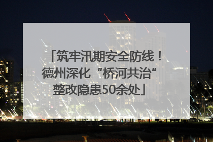 筑牢汛期安全防线！德州深化“桥河共治”整改隐患50余处