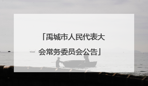禹城市人民代表大会常务委员会公告