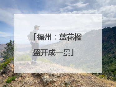 福州：蓝花楹盛开成一景