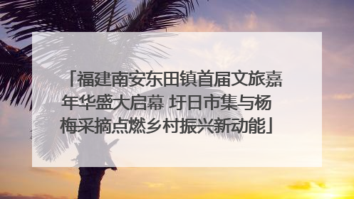 福建南安东田镇首届文旅嘉年华盛大启幕 圩日市集与杨梅采摘点燃乡村振兴新动能