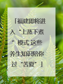 福建即将进入“上蒸下煮”模式 这些养生知识陪你过“苦夏”