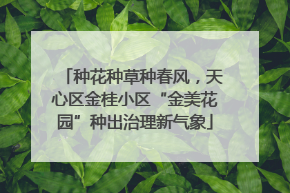 种花种草种春风，天心区金桂小区“金美花园”种出治理新气象