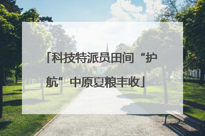 科技特派员田间“护航”中原夏粮丰收