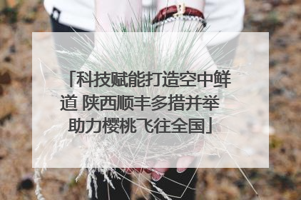 科技赋能打造空中鲜道 陕西顺丰多措并举助力樱桃飞往全国