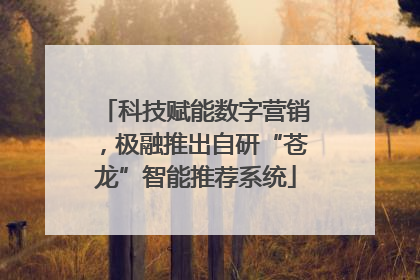 科技赋能数字营销，极融推出自研“苍龙”智能推荐系统
