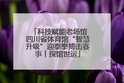 科技赋能老场馆 四川省体育馆“智慧升级”迎泰拳搏击赛事丨探馆世运